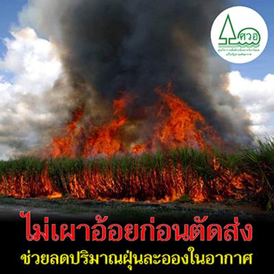 ไม่เผาอ้อยก่อนตัดส่ง ช่วยลดปริมาณฝุ่นละอองในอากาศ